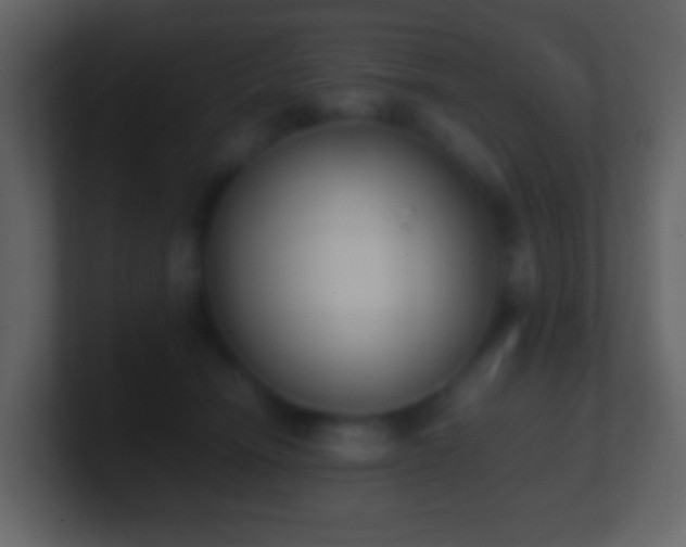 X0000101390466200807071201