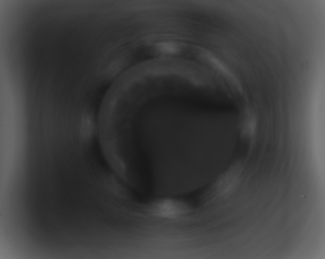 X0000101390467200807071201