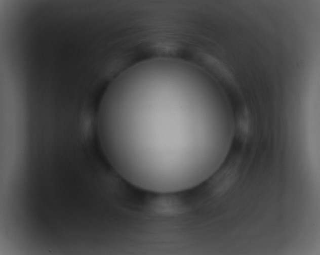 X0000101390468200807071201