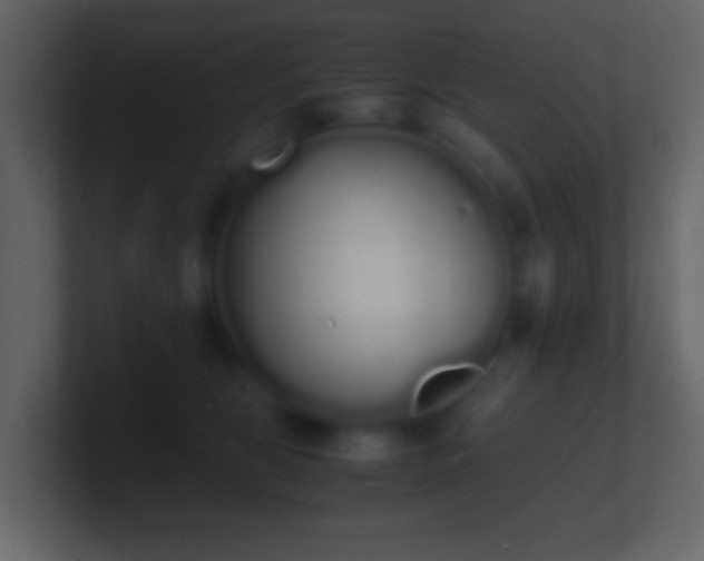 X0000101390469200807071201