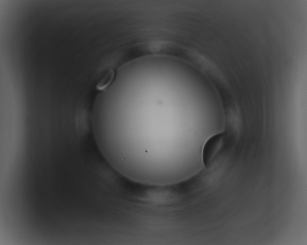 X0000101390470200807071201