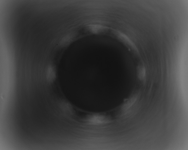 X0000101390471200807071201