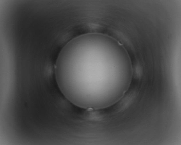 X0000101390472200807071201