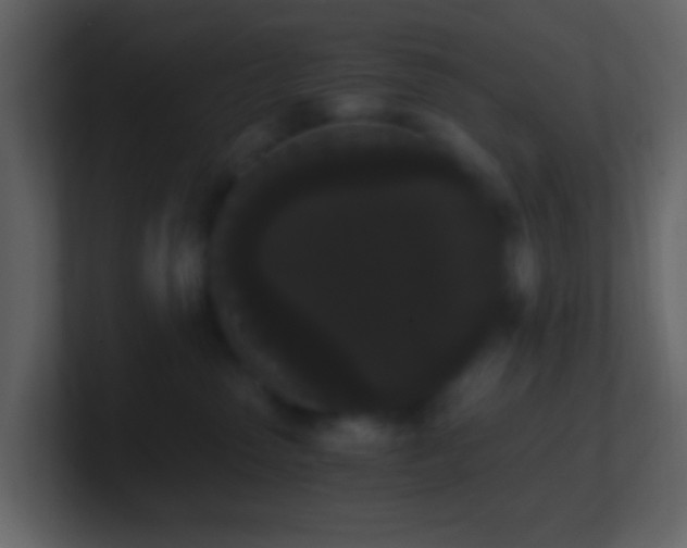 X0000101390475200807071201