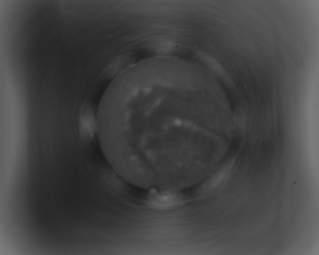 X0000101390479200807071201