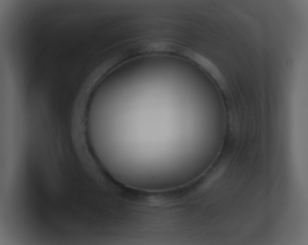 X0000101390481200807071201