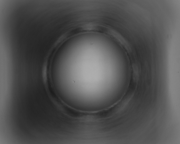 X0000101390482200807071201