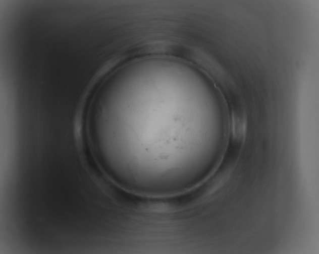 X0000101390483200807071201