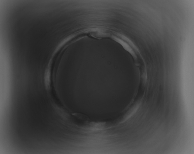 X0000101390484200807071201