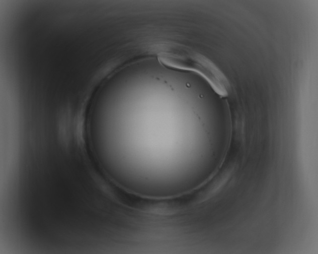 X0000101390485200807071201