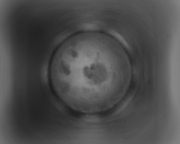 X0000101390487200807071201