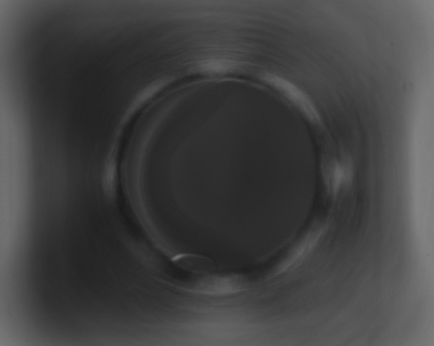 X0000101390488200807071201