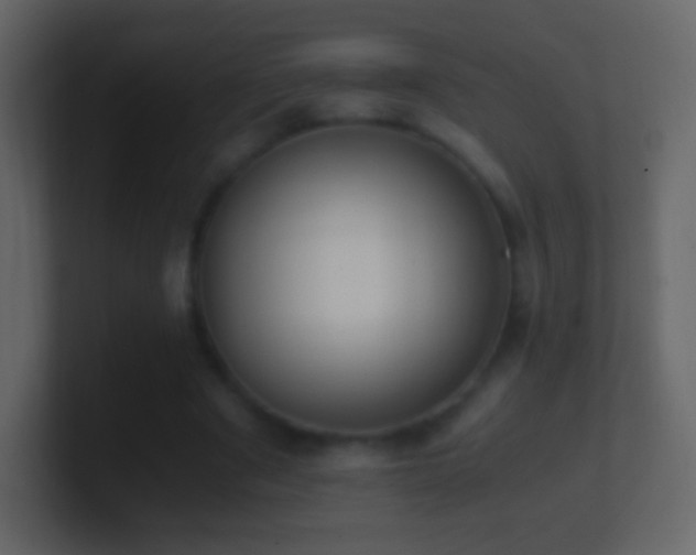 X0000101390489200807071200