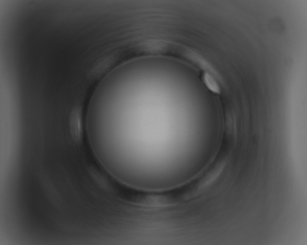 X0000101390493200807071200