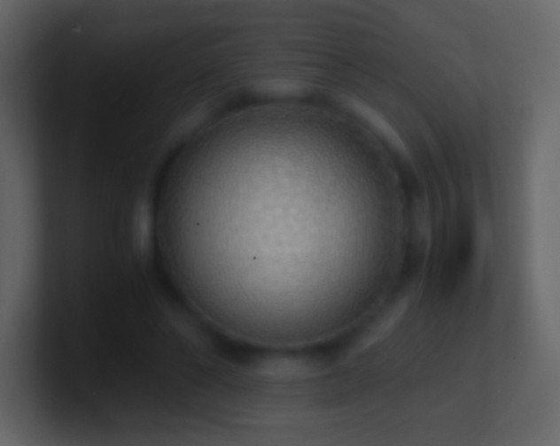 X0000101390494200807071200