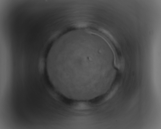 X0000101390495200807071200