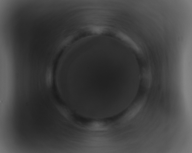 X0000101390496200807071200