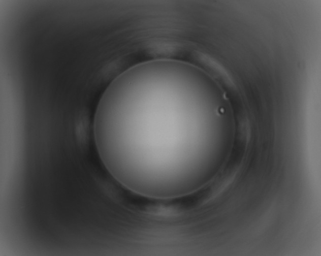 X0000101390498200807071200