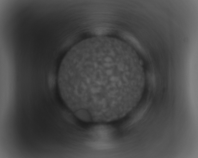 X0000101390499200807071200