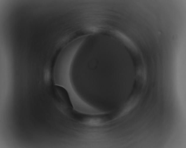 X0000101390500200807071200