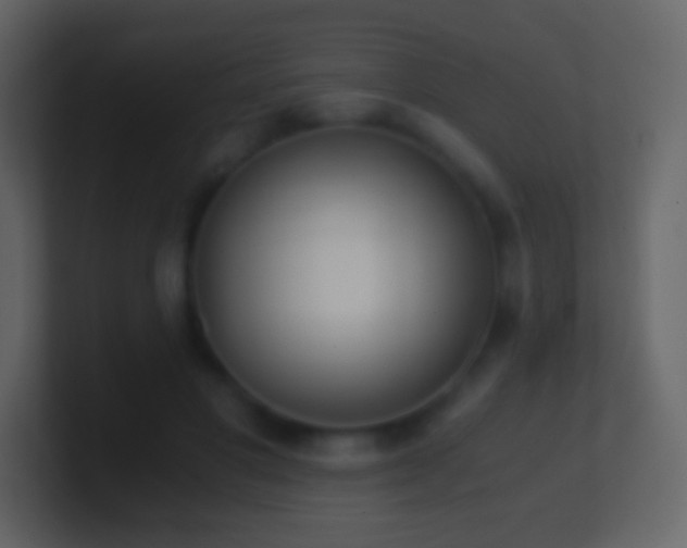 X0000101390501200807071200