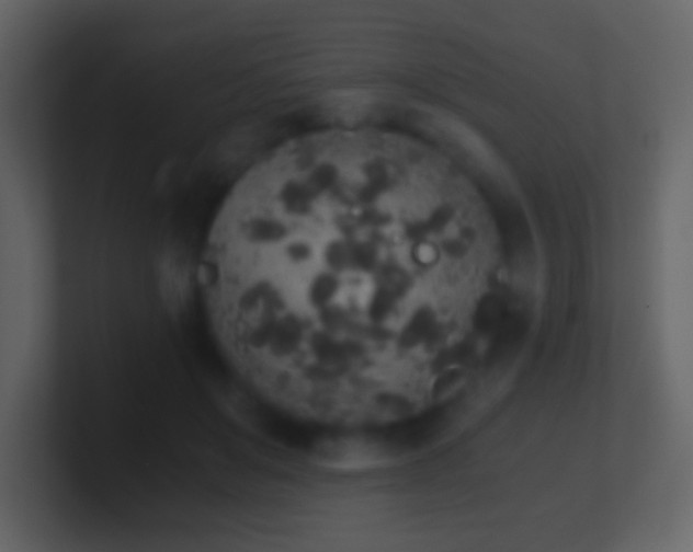 X0000101390503200807071200