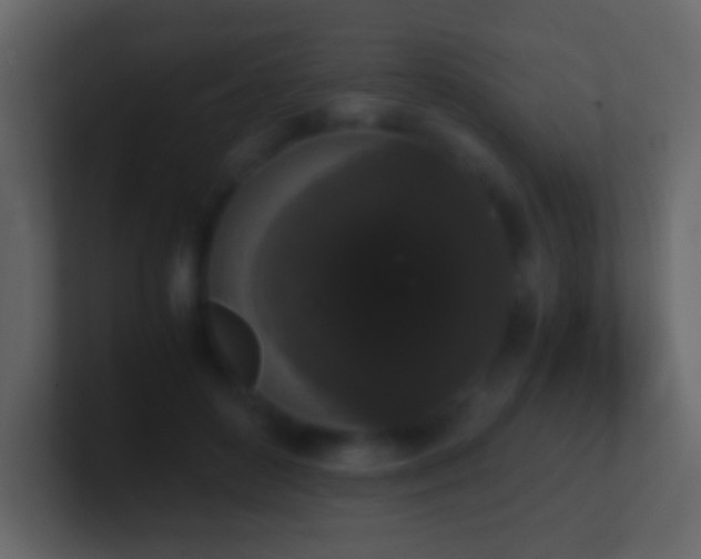 X0000101390504200807071200