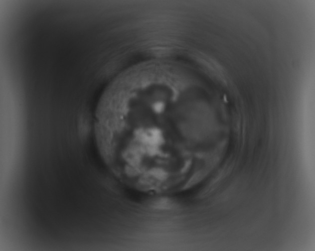 X0000101390507200807071200