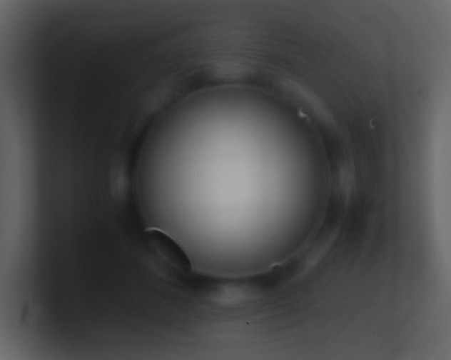 X0000101390508200807071200