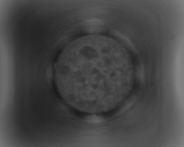 X0000101390511200807071200