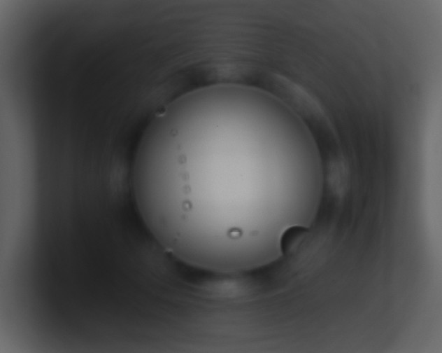 X0000101390514200807071200