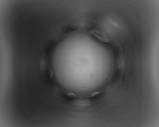 X0000101390515200807071200