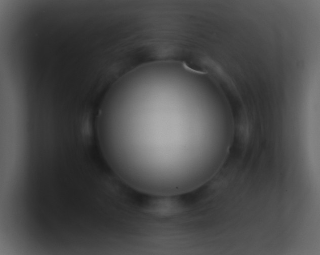 X0000101390516200807071200