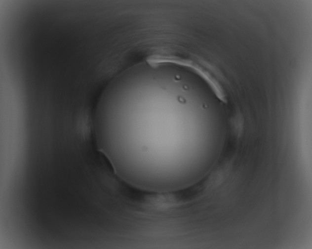 X0000101390517200807071200