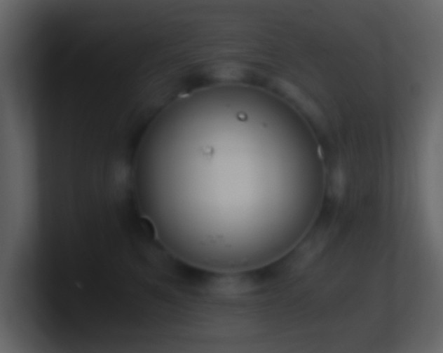 X0000101390521200807071200