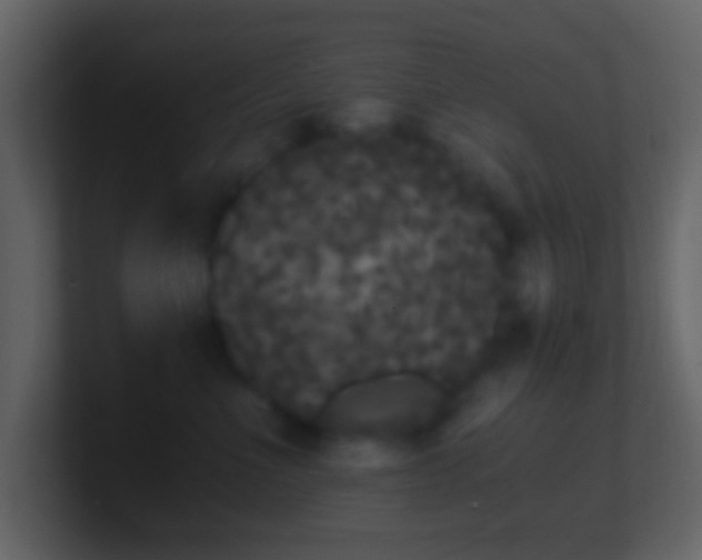 X0000101390523200807071200