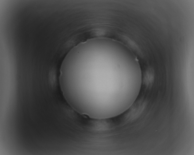 X0000101390524200807071200