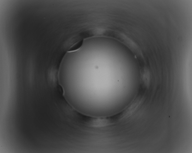 X0000101390525200807071200