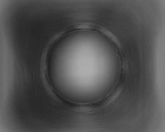 X0000101390529200807071159