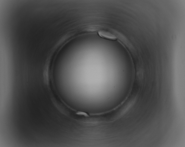 X0000101390530200807071159