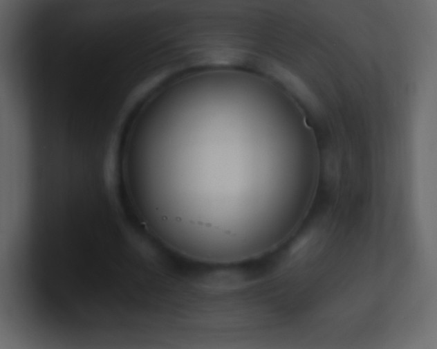 X0000101390536200807071159