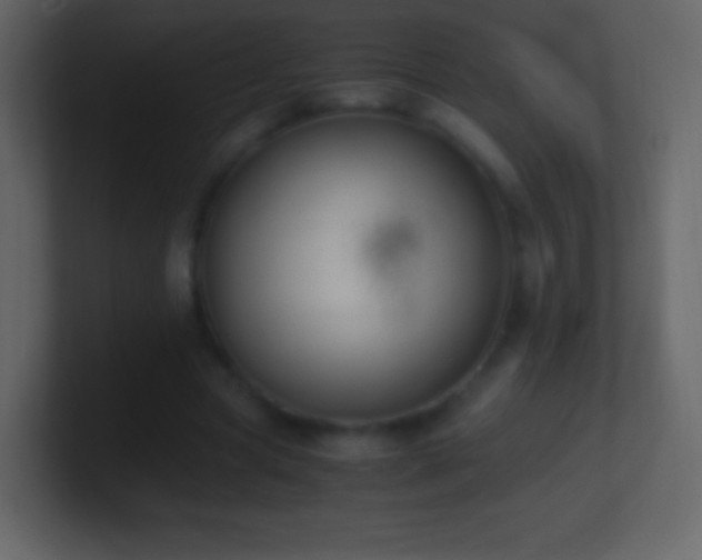 X0000101390537200807071159