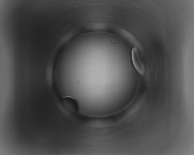 X0000101390538200807071159