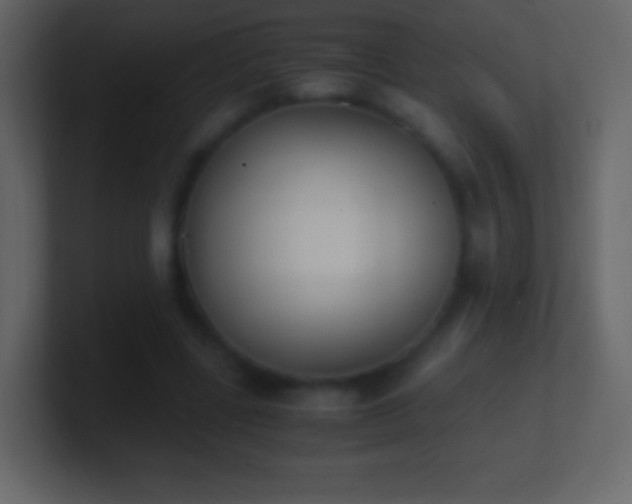 X0000101390539200807071159