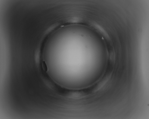 X0000101390540200807071159