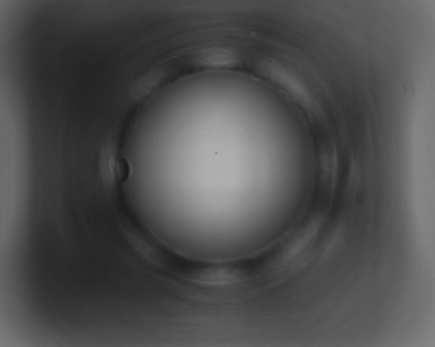 X0000101390541200807071159