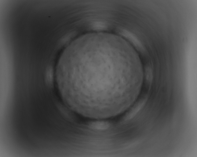 X0000101390542200807071159