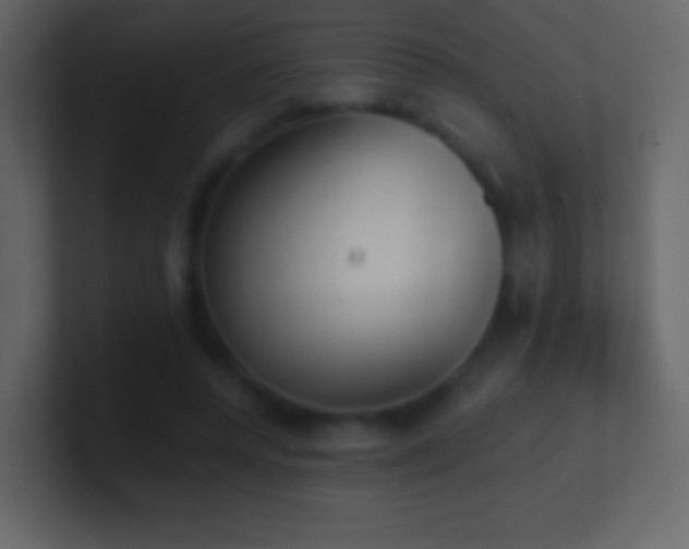 X0000101390544200807071159