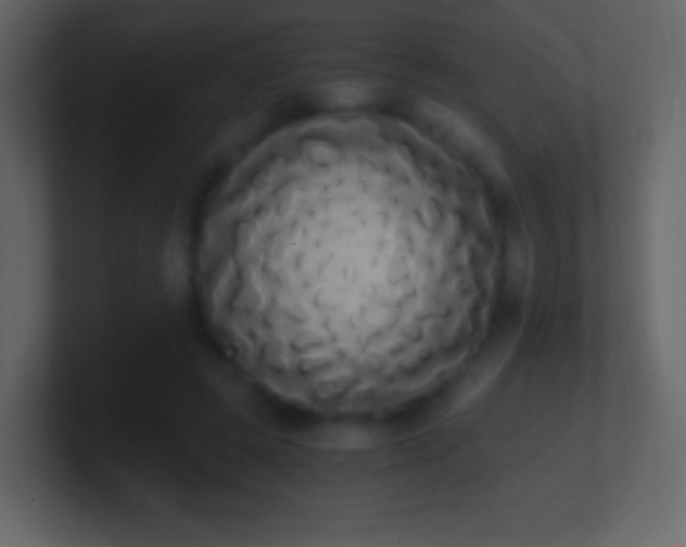 X0000101390545200807071159