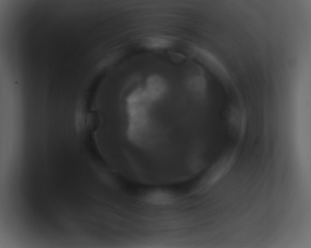 X0000101390547200807071200